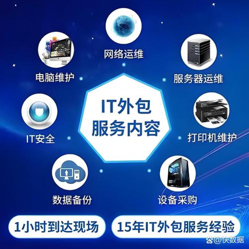 软件定制开发：企业成长的加速器